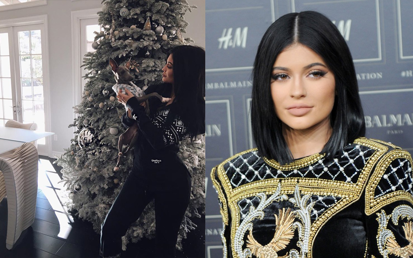 Кайли Дженнер (18)