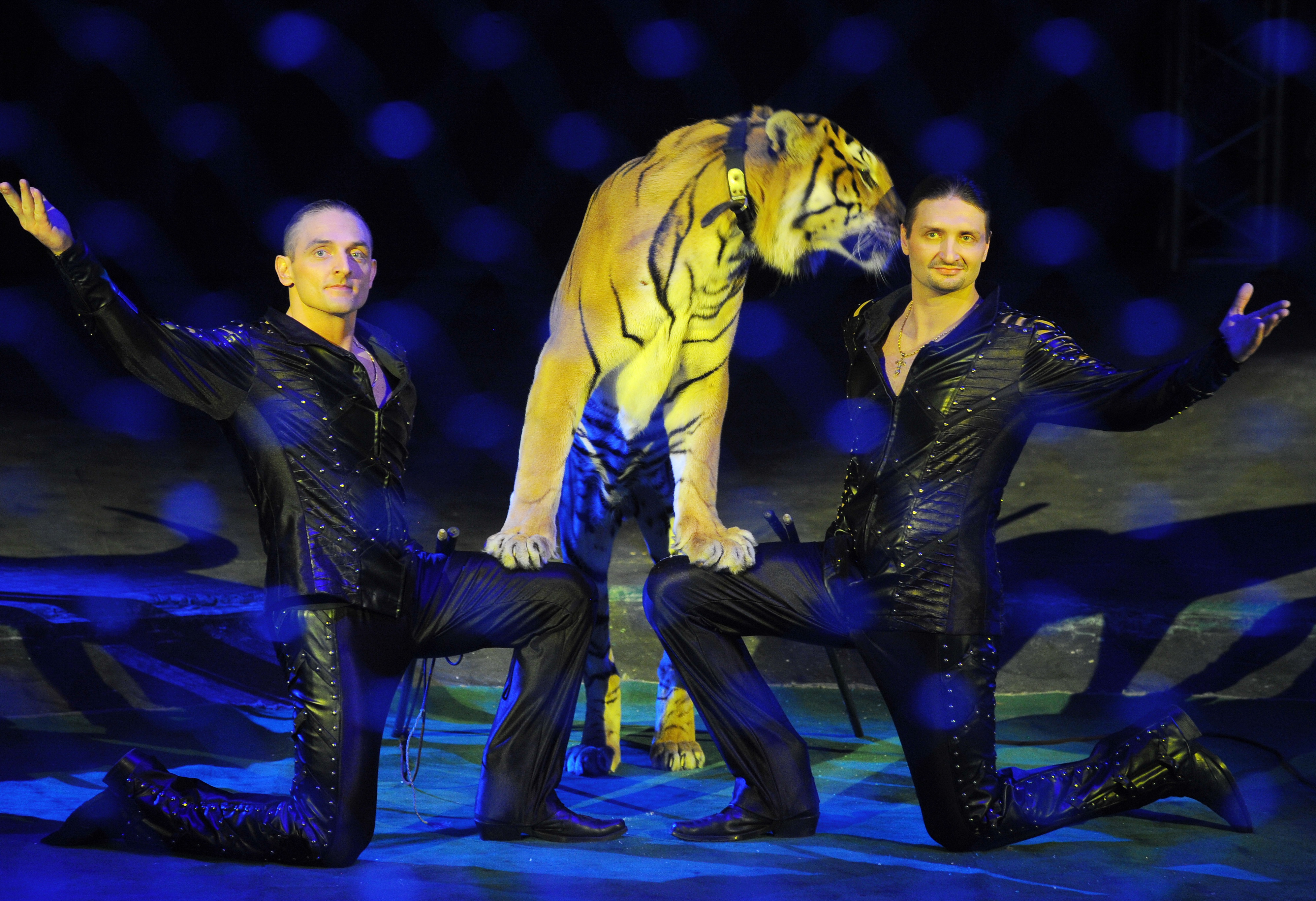 Самые известные братья России