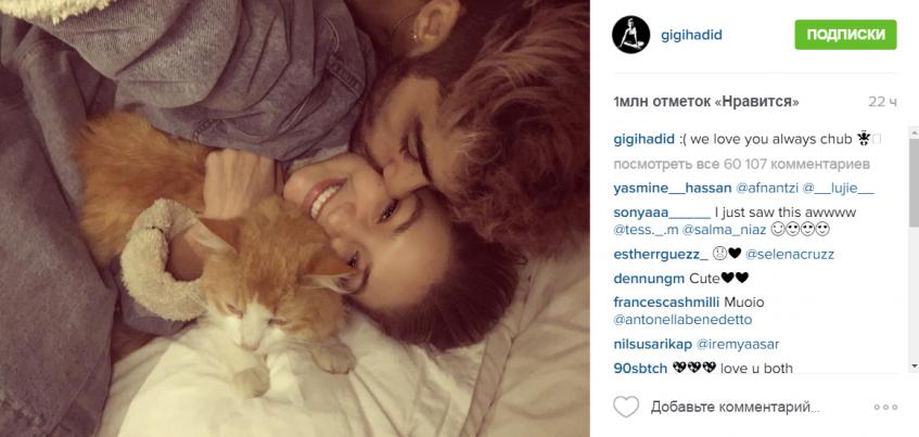 Джиджи Хадид и Зейн Малик