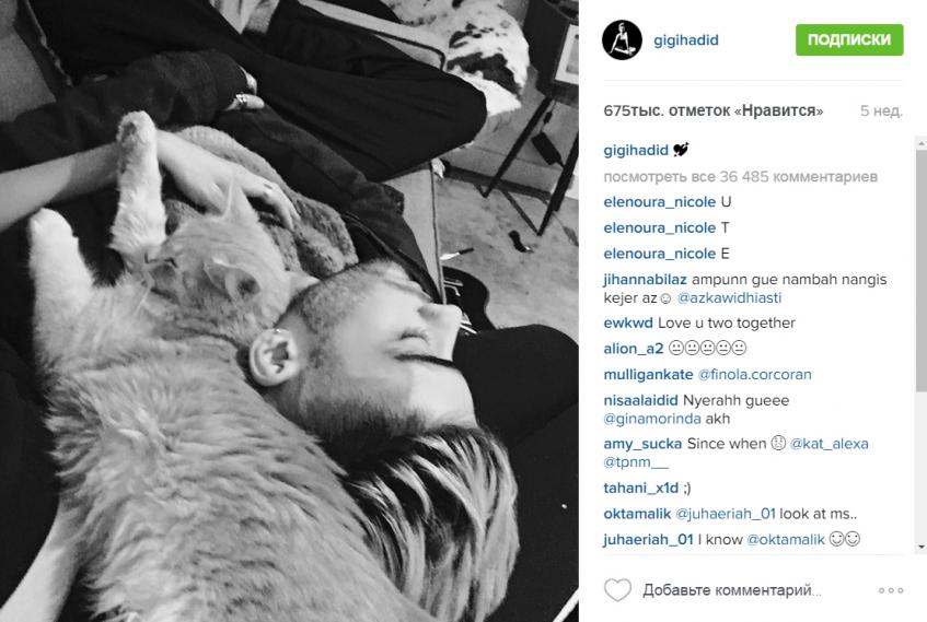 Джиджи Хадид и Зейн Малик