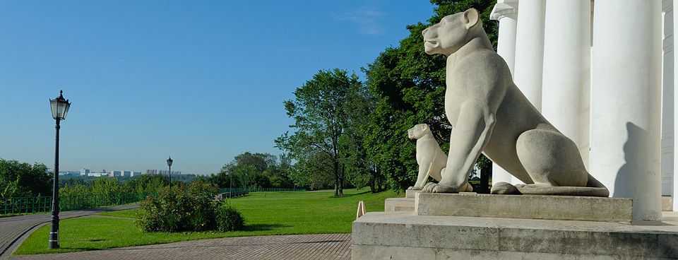 пикник в сокольниках где можно