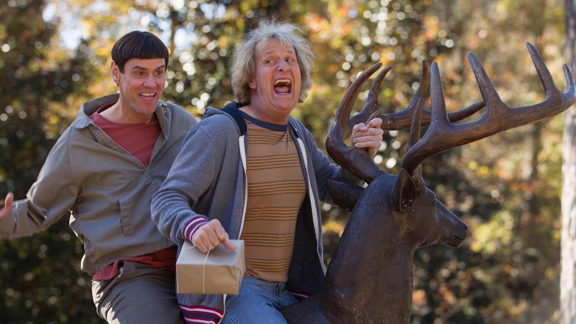 актер со смешным лицом. dumb and dumber to 1. актер со смешным лицом фото. актер со смешным лицом-dumb and dumber to 1. картинка актер со смешным лицом. картинка dumb and dumber to 1.