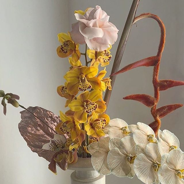 Как сделать сеть Инстаграм аккаунтов