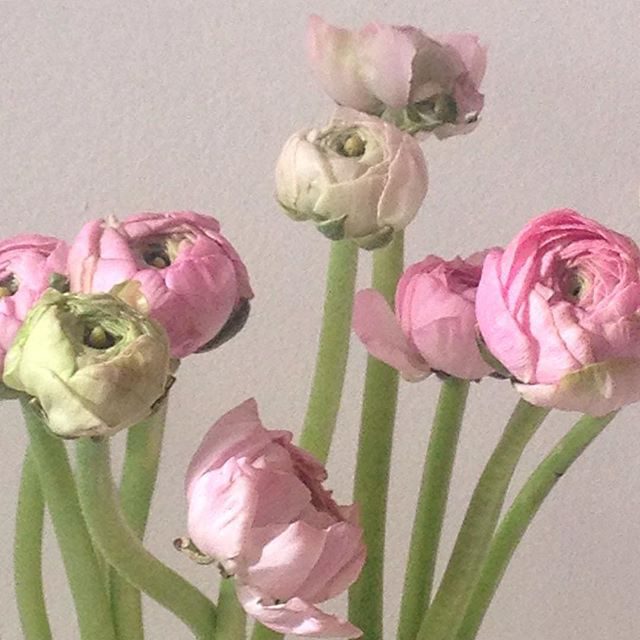 Как сделать сеть Инстаграм аккаунтов