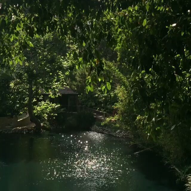 Как сделать сеть Инстаграм аккаунтов