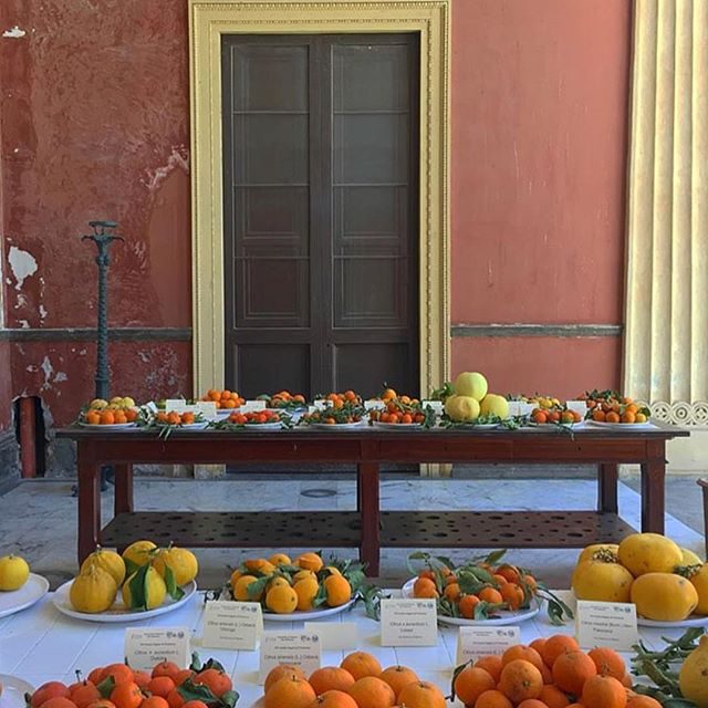 Как сделать сеть Инстаграм аккаунтов