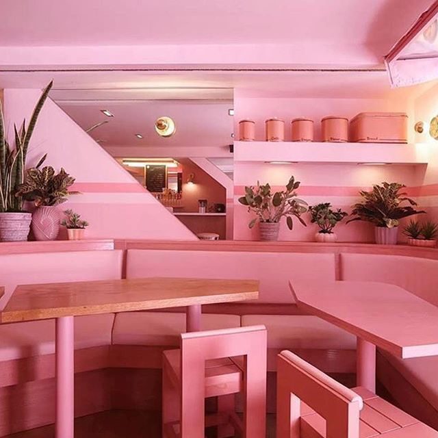 Как сделать сеть Инстаграм аккаунтов