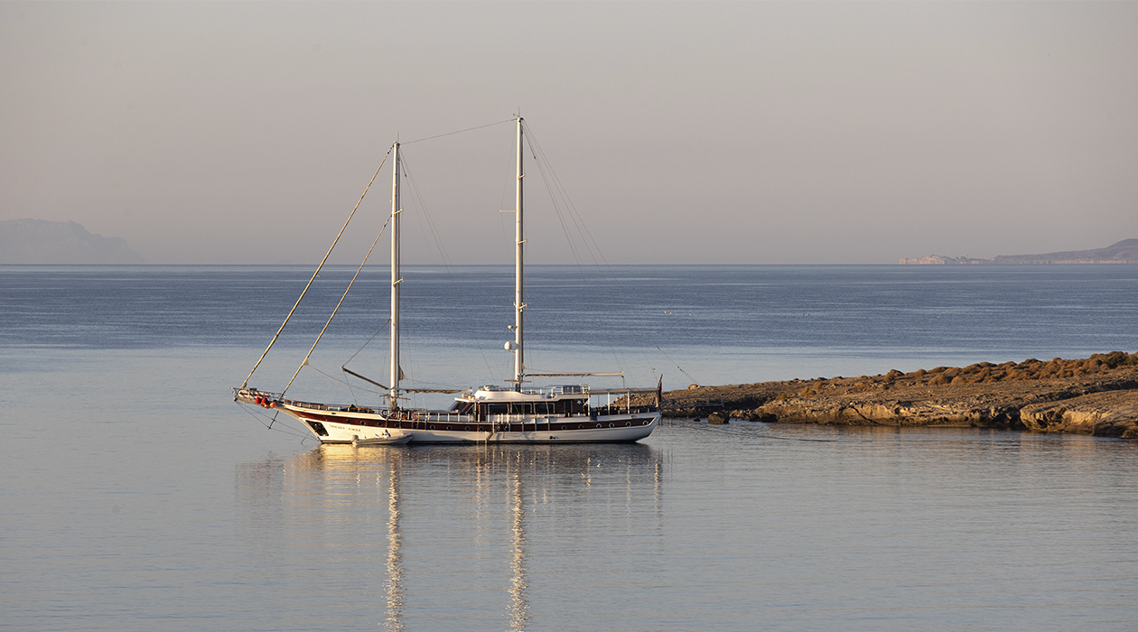 Главное изображение статьи