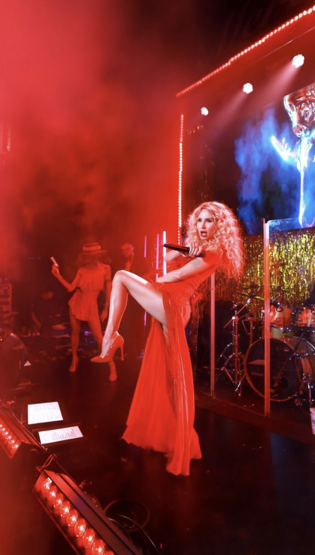 Образ на миллион: Светлана Лобода появилась на сцене в роскошном красном платье