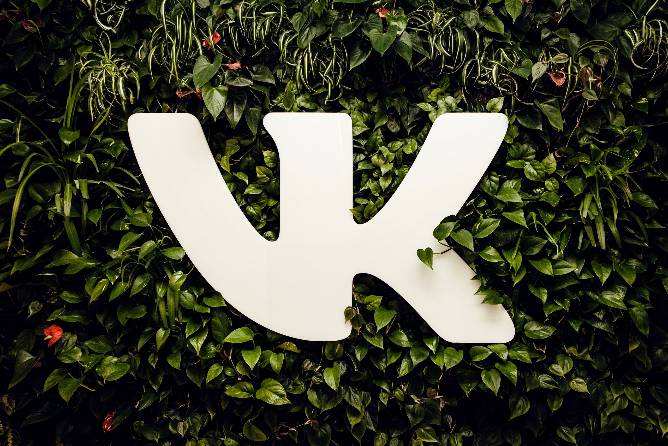 New opportunities for artists and listeners: Nikolai Duksin becomes director of VK Music