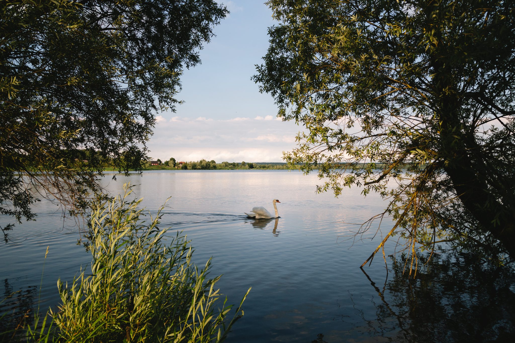 Глубина озера виштынец калининградская