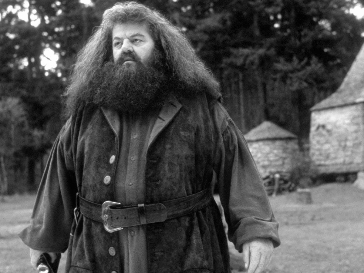 Harry Potter stars commemorate Robbie Coltrane