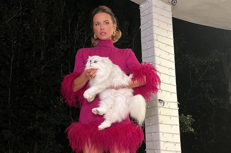 Қысқа порно видео тобы