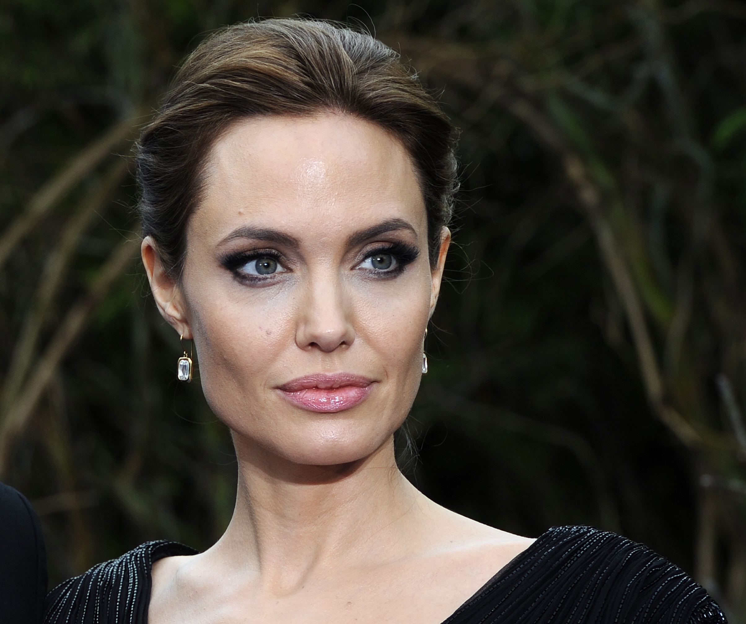 Анджелина Джоли (Angelina Jolie) Faked Porno